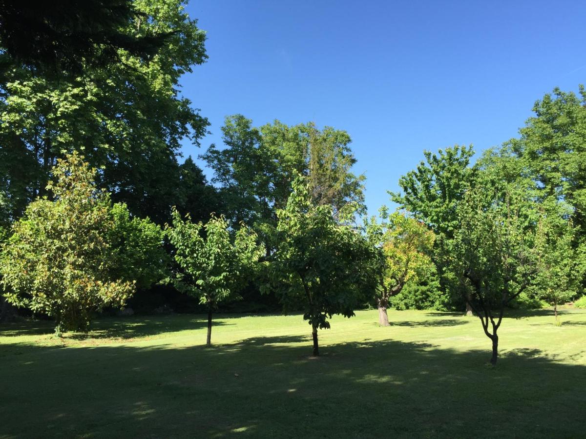 LʼIsle-sur-la-Sorgue Montjoia B&B 외부 사진