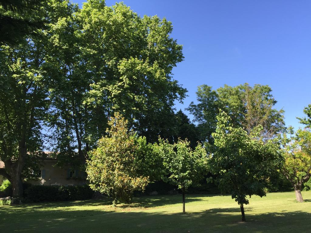 LʼIsle-sur-la-Sorgue Montjoia B&B 외부 사진